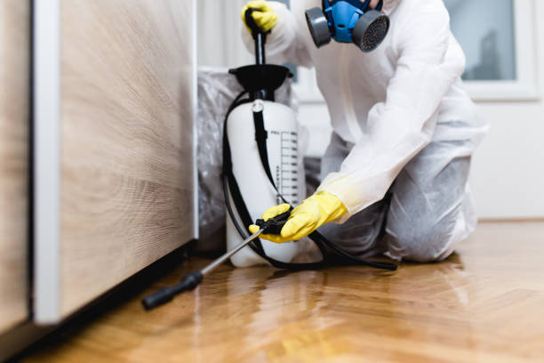 Trusted Aberdeen, IN Pest Control Experts