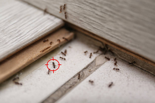 Best Cockroach Control Services  in Aberdeen, IN