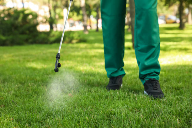 Best Flea Control Services  in Aberdeen, IN