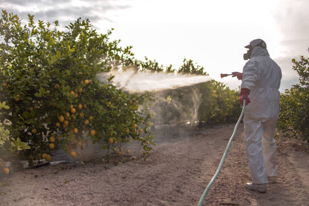 Best Pest Inspection Near Me  in Aberdeen, IN