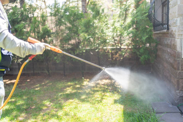 Best Spider Control Near Me  in Aberdeen, IN