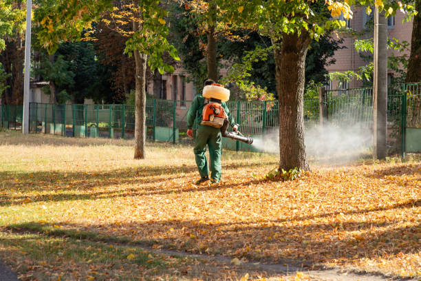 Best Local Pest Control Services  in Aberdeen, IN