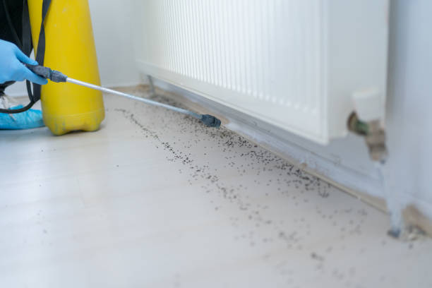 Reliable Aberdeen, IN Pest Control Solutions