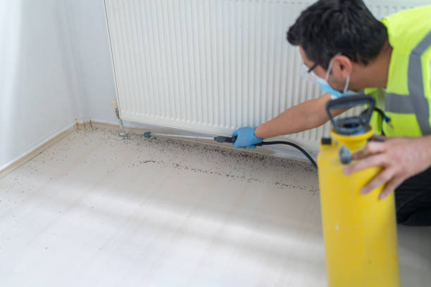 Best Ant Control Services  in Aberdeen, IN