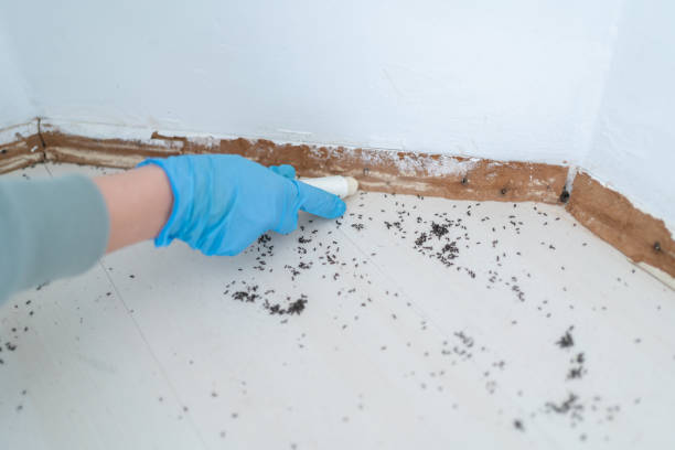 Best Insect Control  in Aberdeen, IN