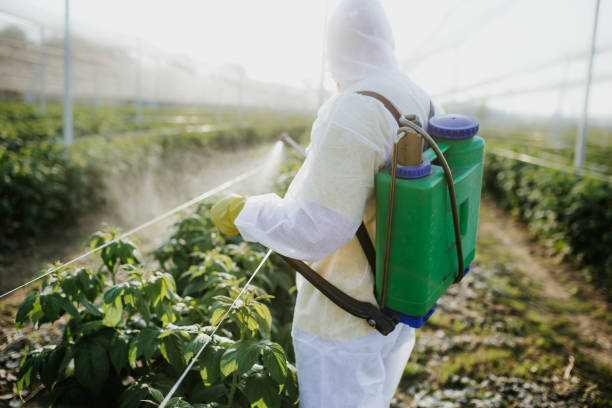 Best Best Pest Control Companies  in Aberdeen, IN